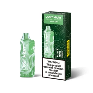 Mint Lost Mary MO5000 Vape Desechable Nicotina 5000 Puff