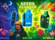 Cómo escoger tu vape Sativa, Índica o Híbrida con envío seguro en Ecuador